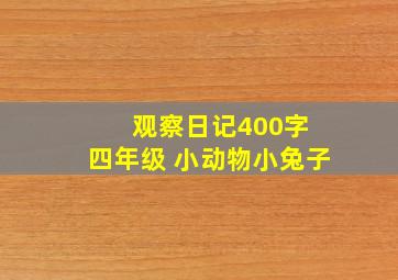 观察日记400字 四年级 小动物小兔子